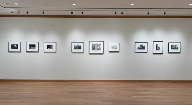 Installation view 1 of 14