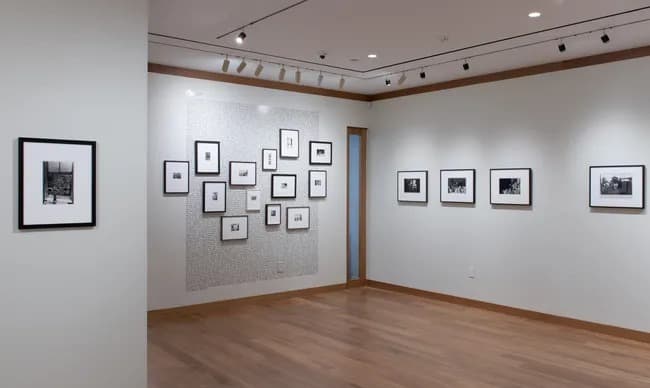 Installation view 4 of 14