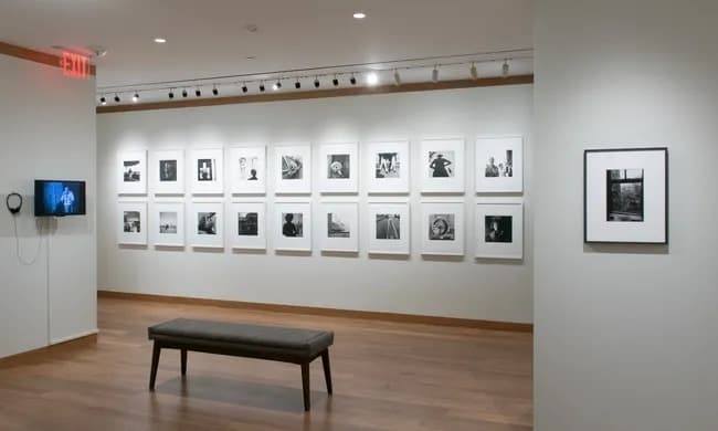 Installation view 12 of 14