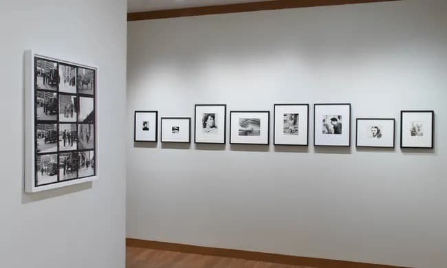 Installation view 7 of 14