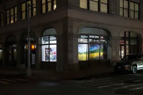 Installation view