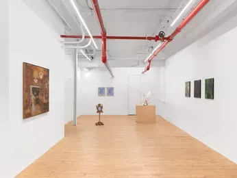 Installation view