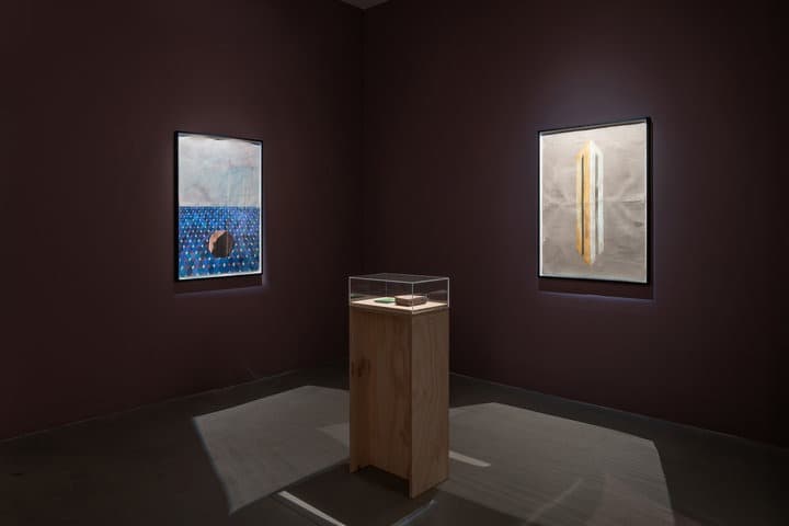 Installation view 4 of 5