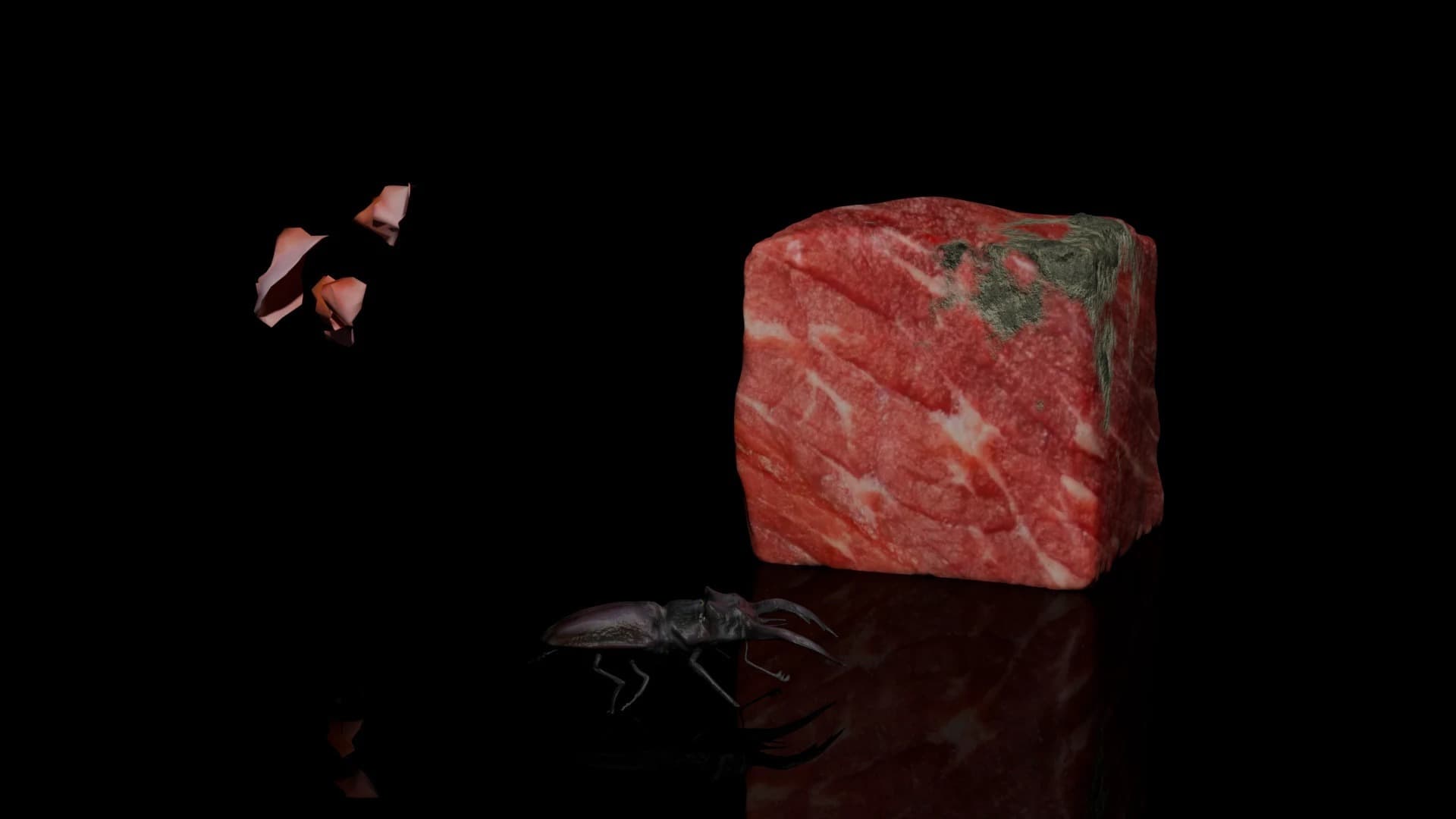 Pound of Flesh