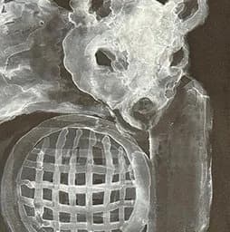 Mayu Shiomi : Ukiyo-electrical