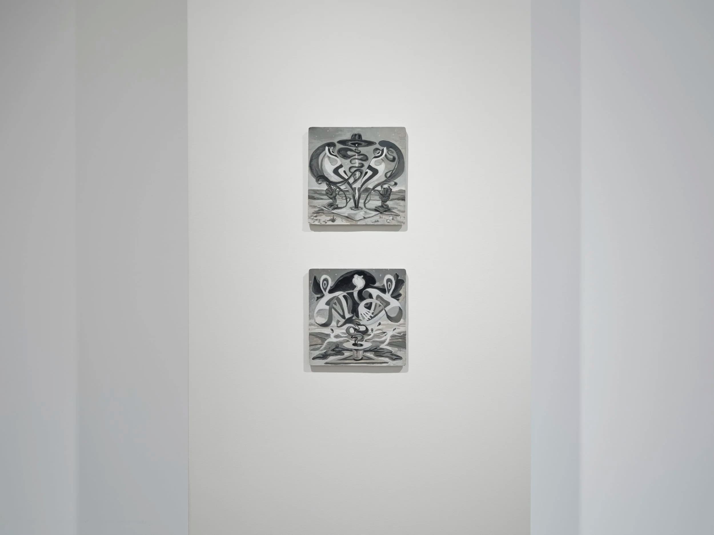 Installation view