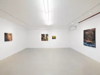 Installation view