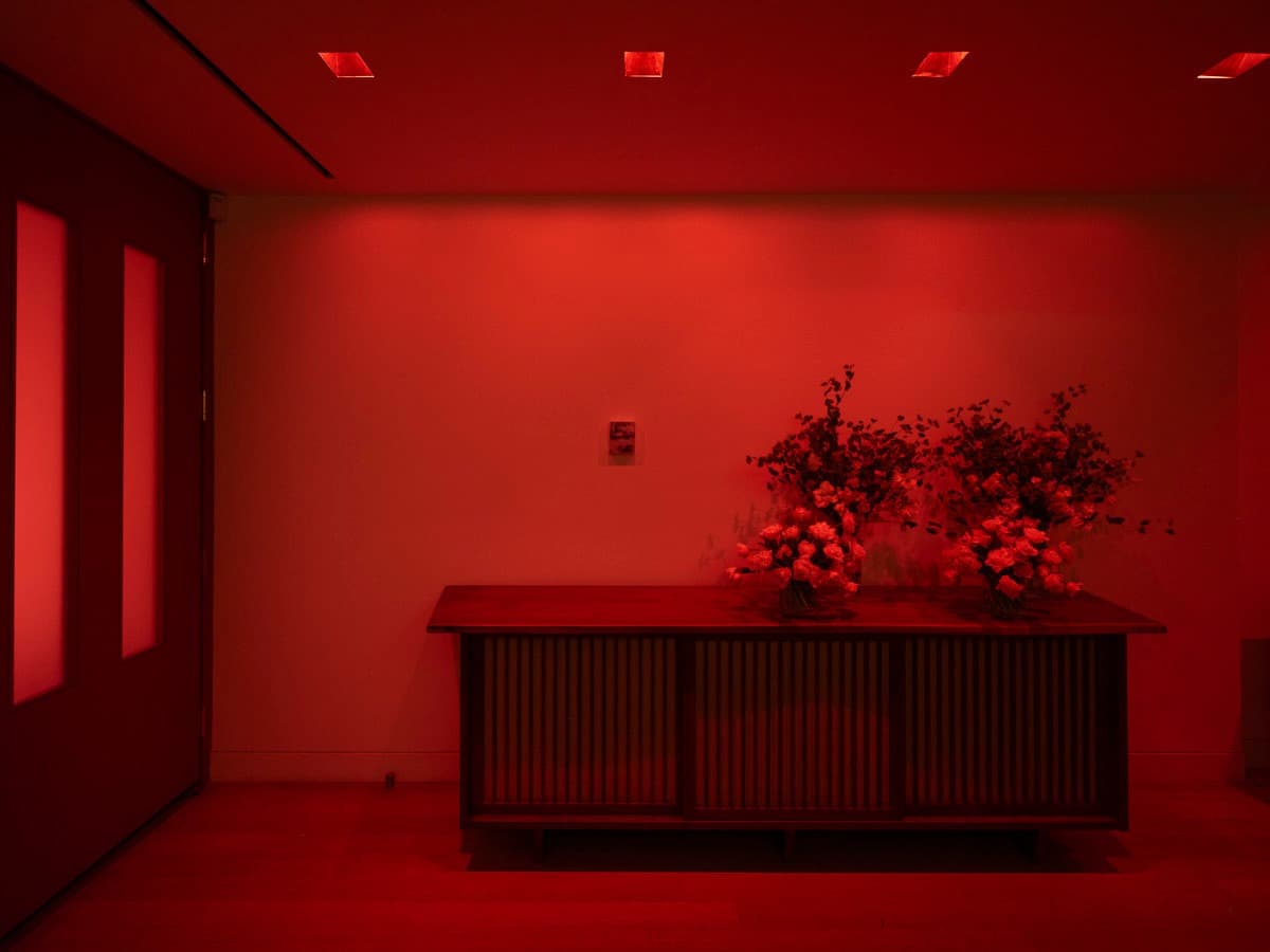 Installation view