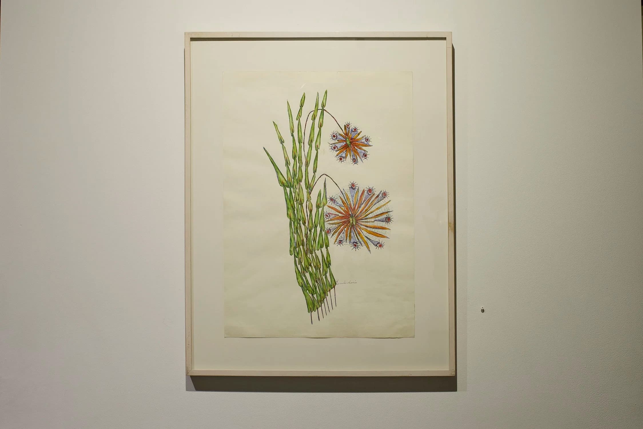 Installation view