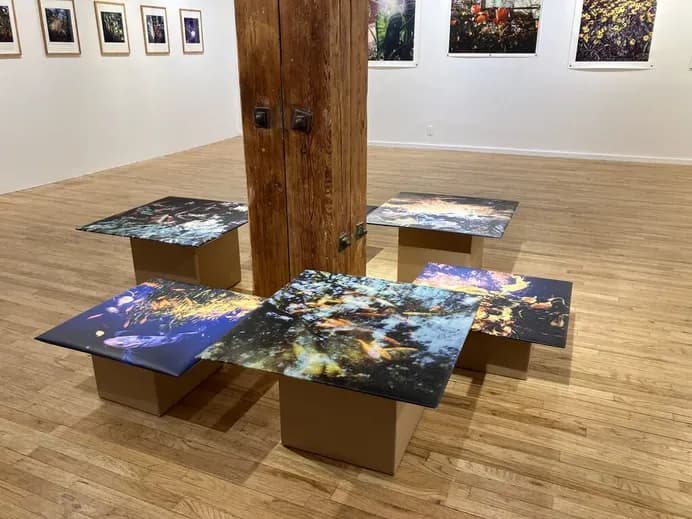 Installation view