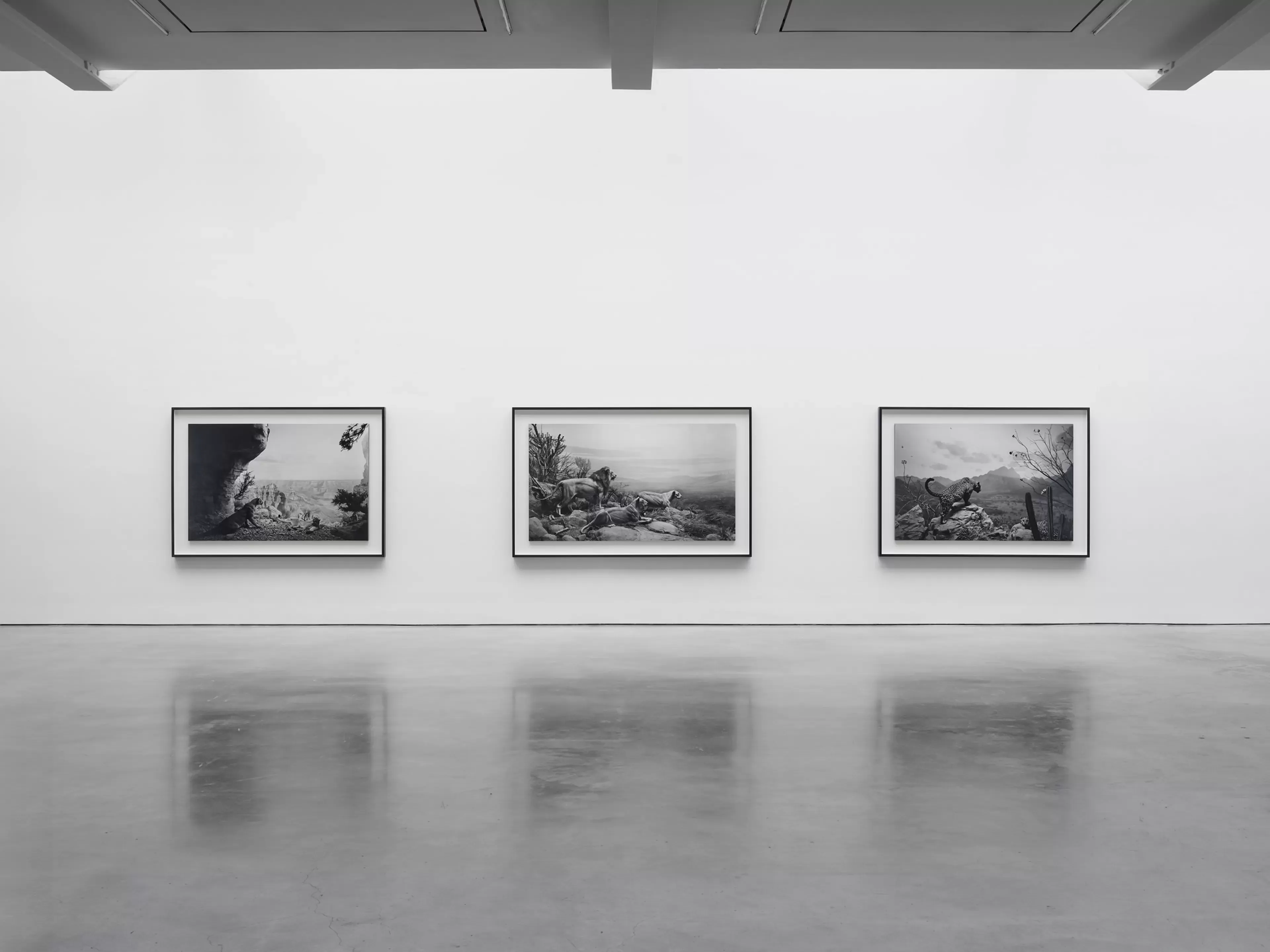 Installation view 1 of 5