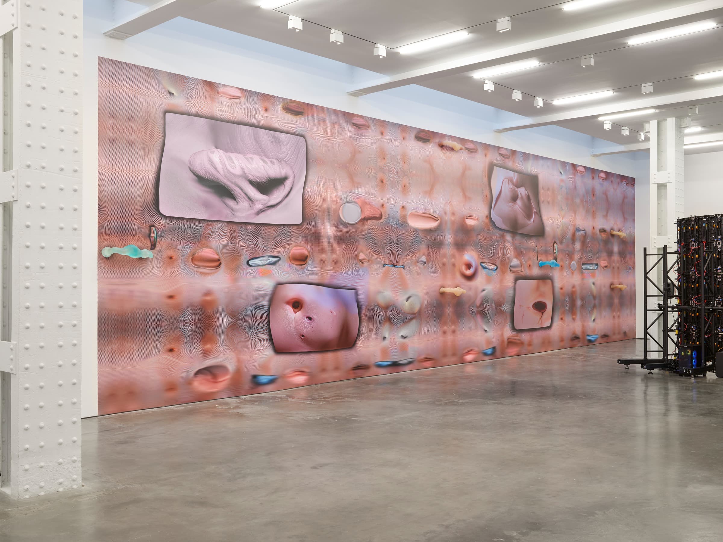 Installation view