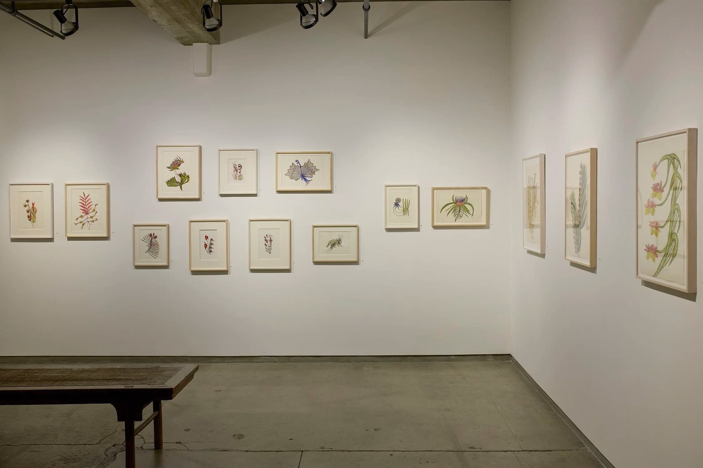 Installation view