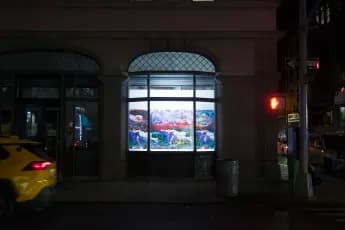 Installation view