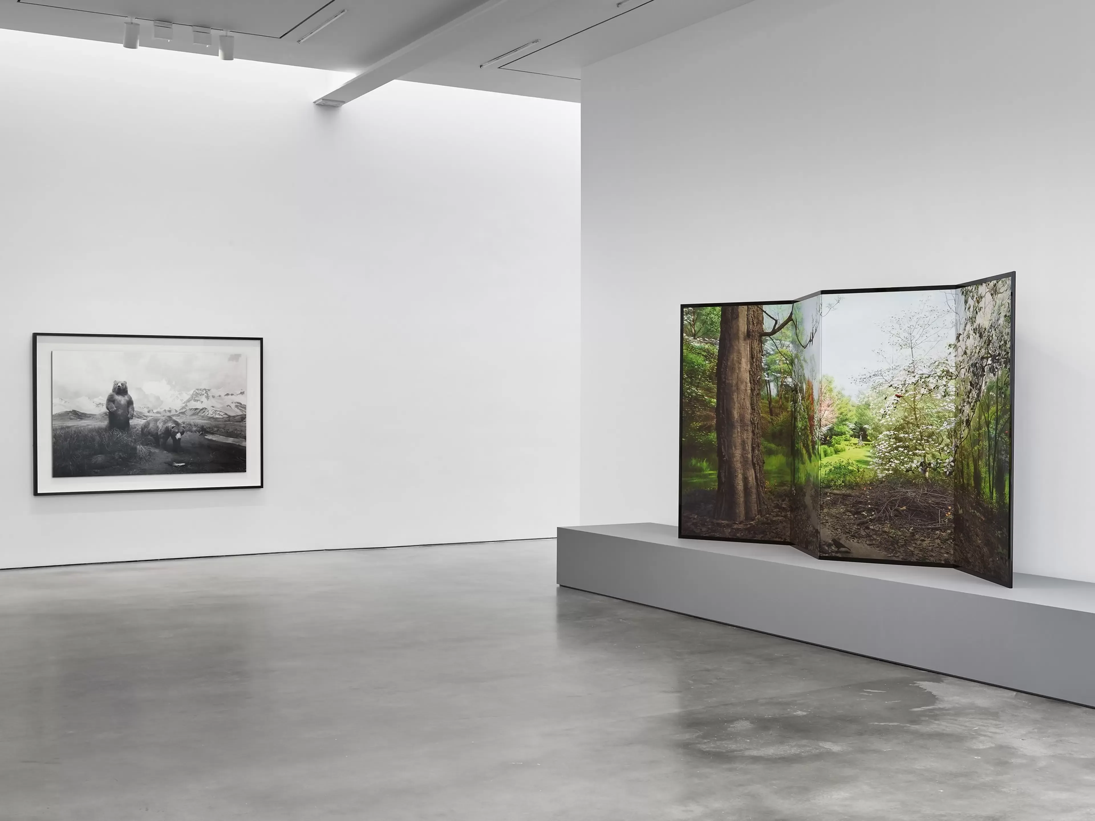 Installation view 4 of 5