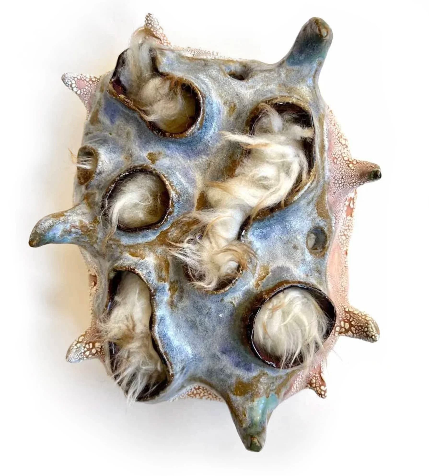Morphologies