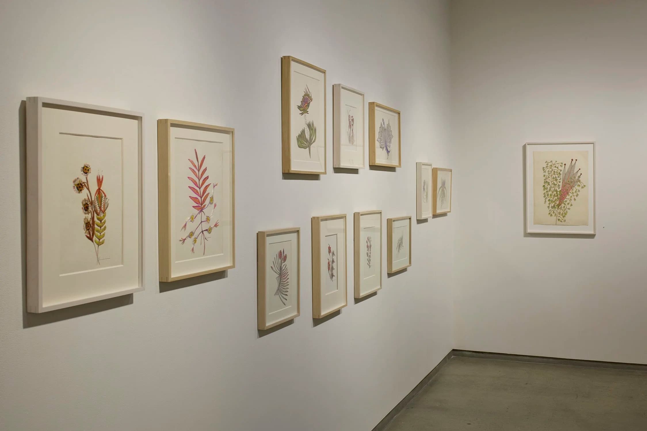 Installation view