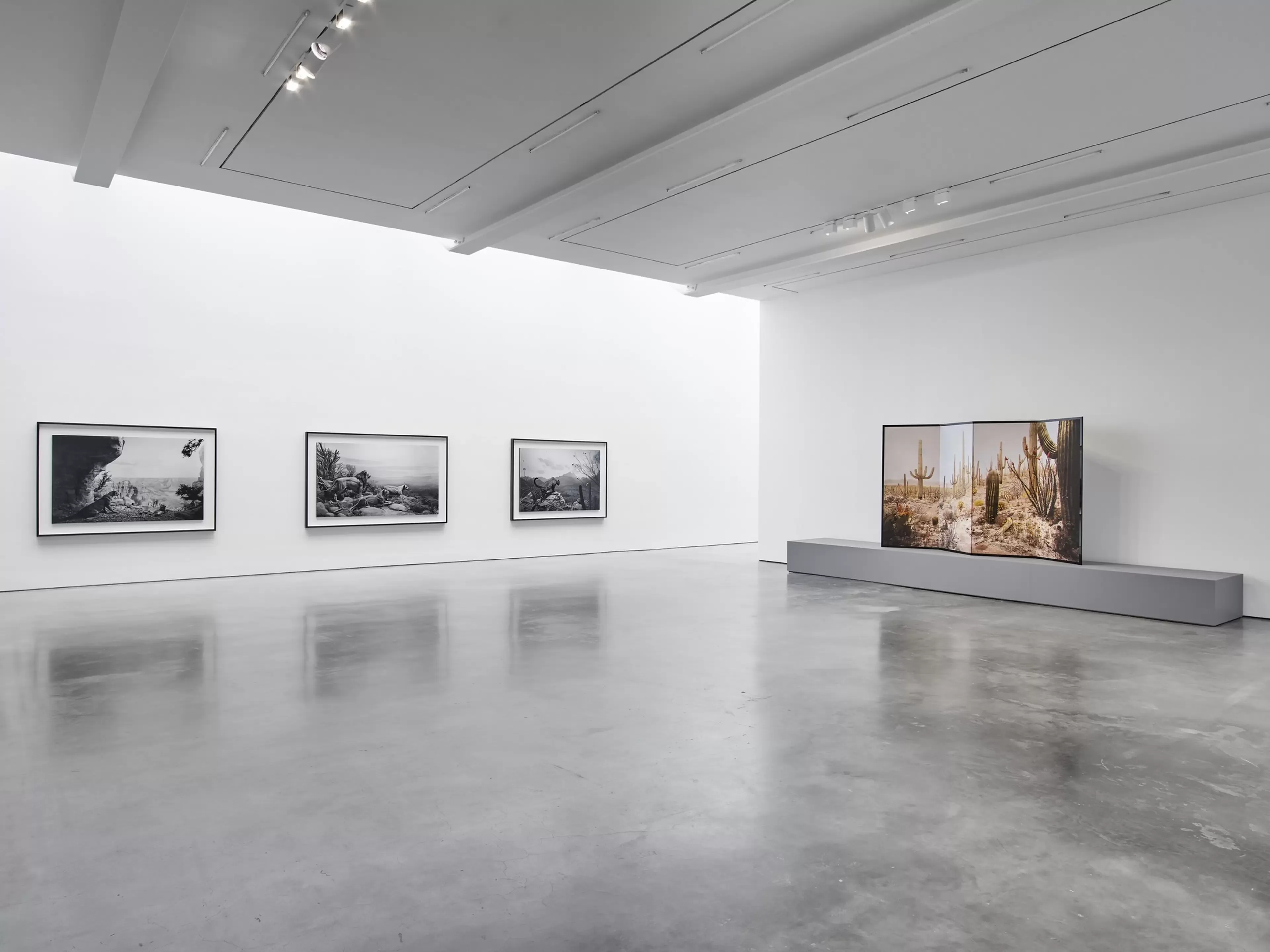 Installation view 2 of 5