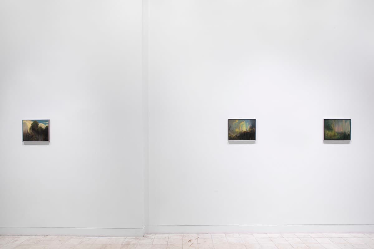 Installation view