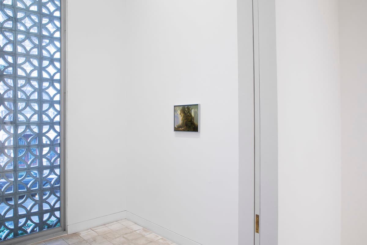 Installation view
