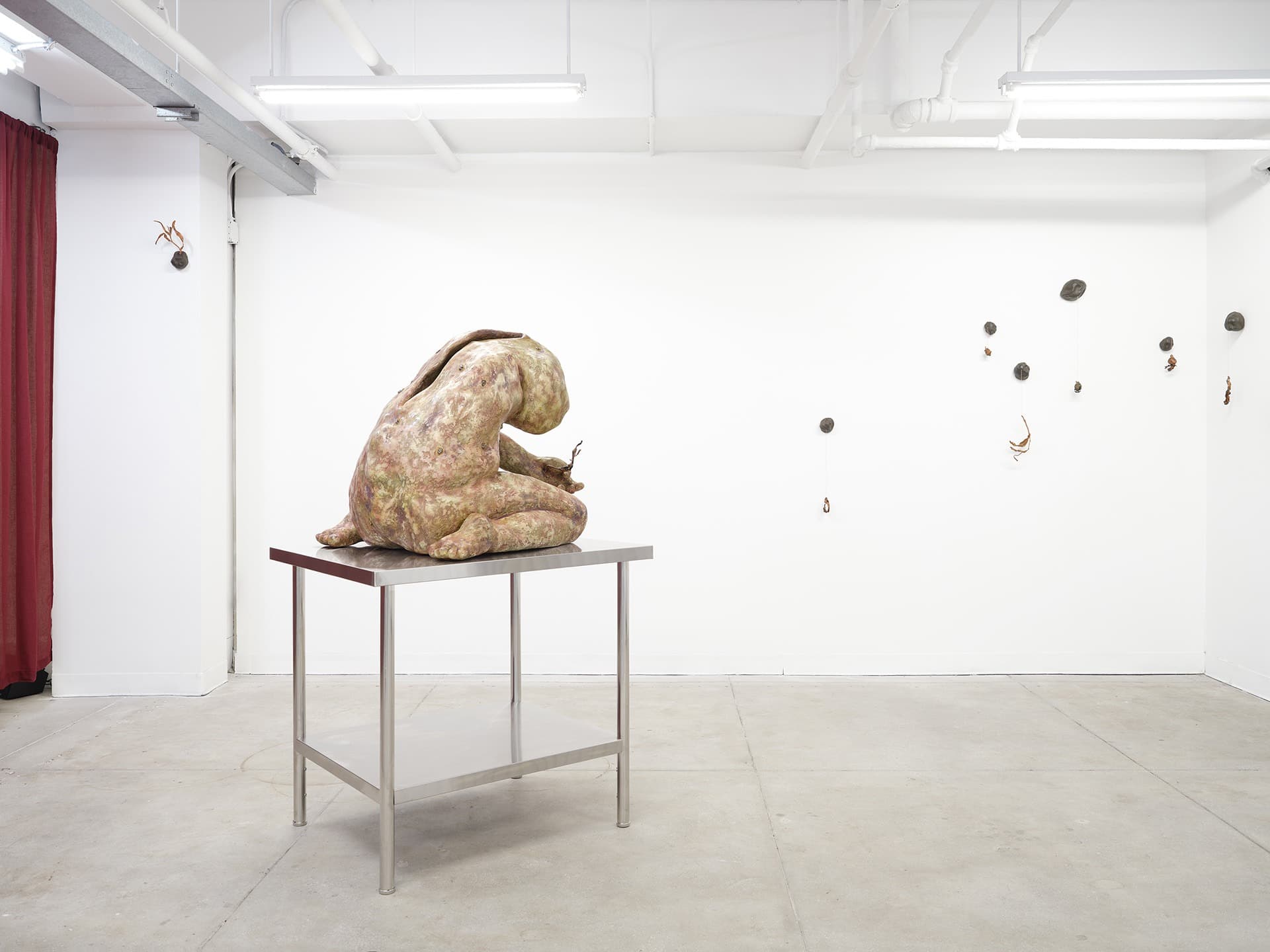 Installation view