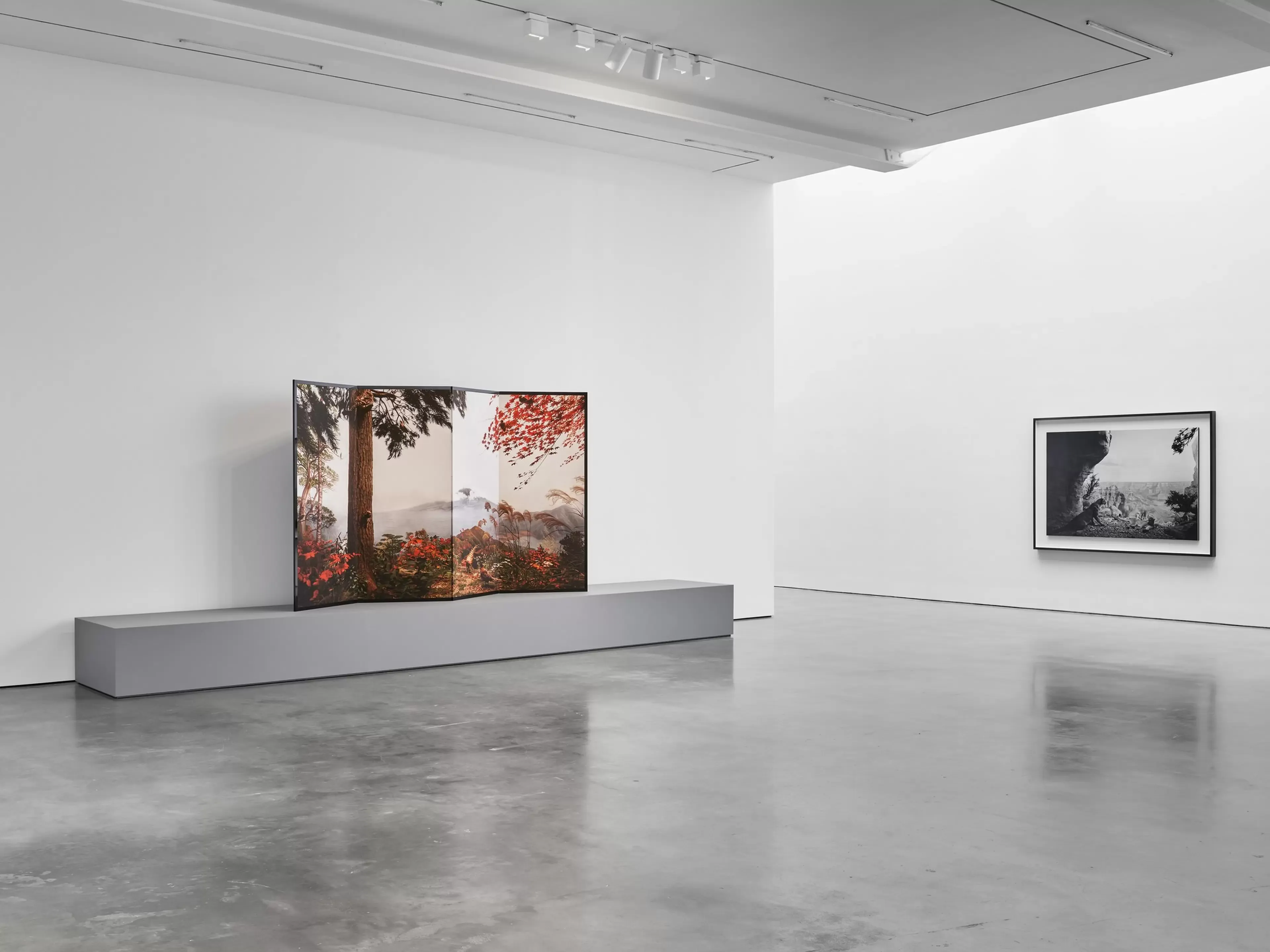 Installation view 5 of 5