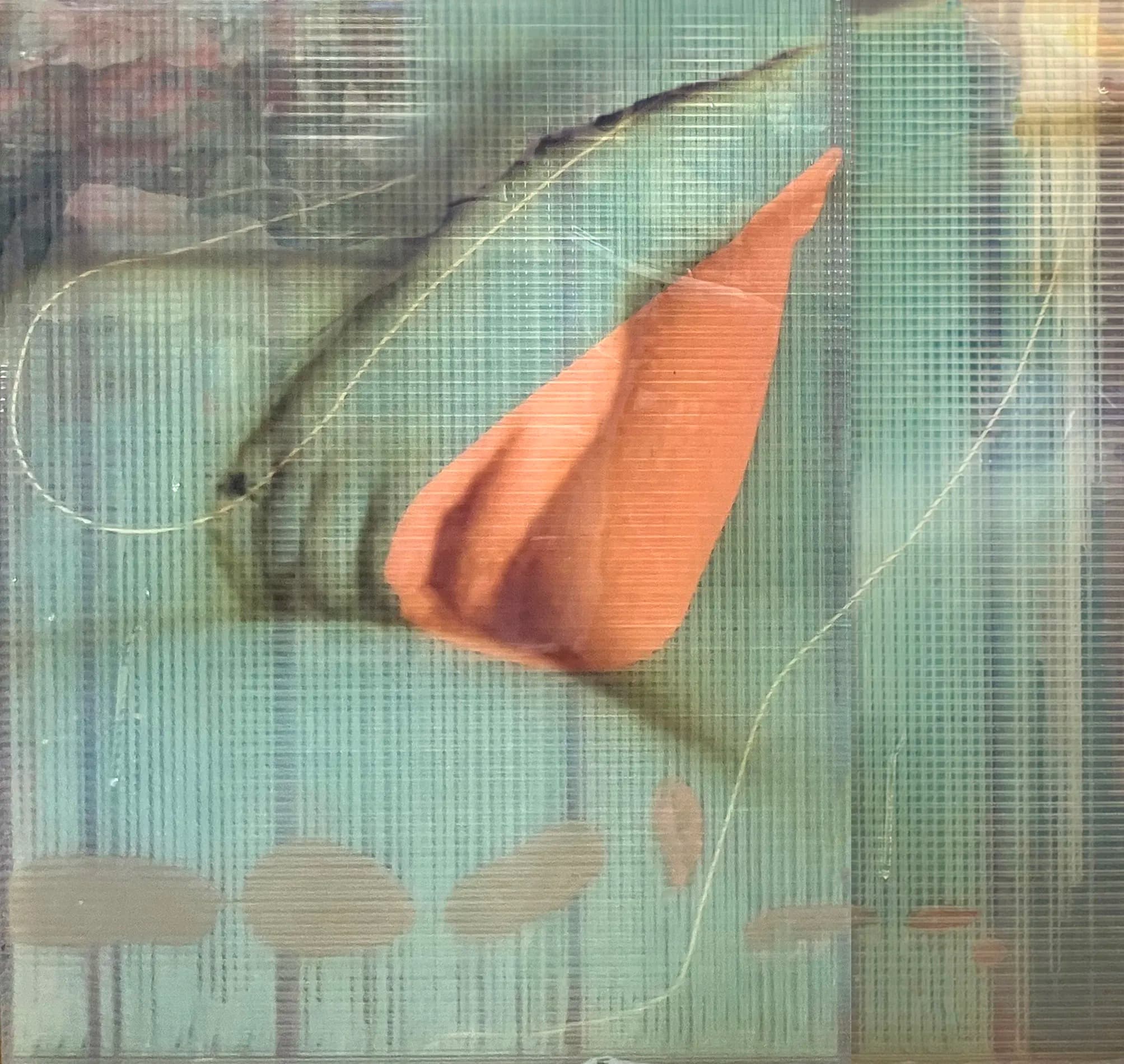 Hand of Venus