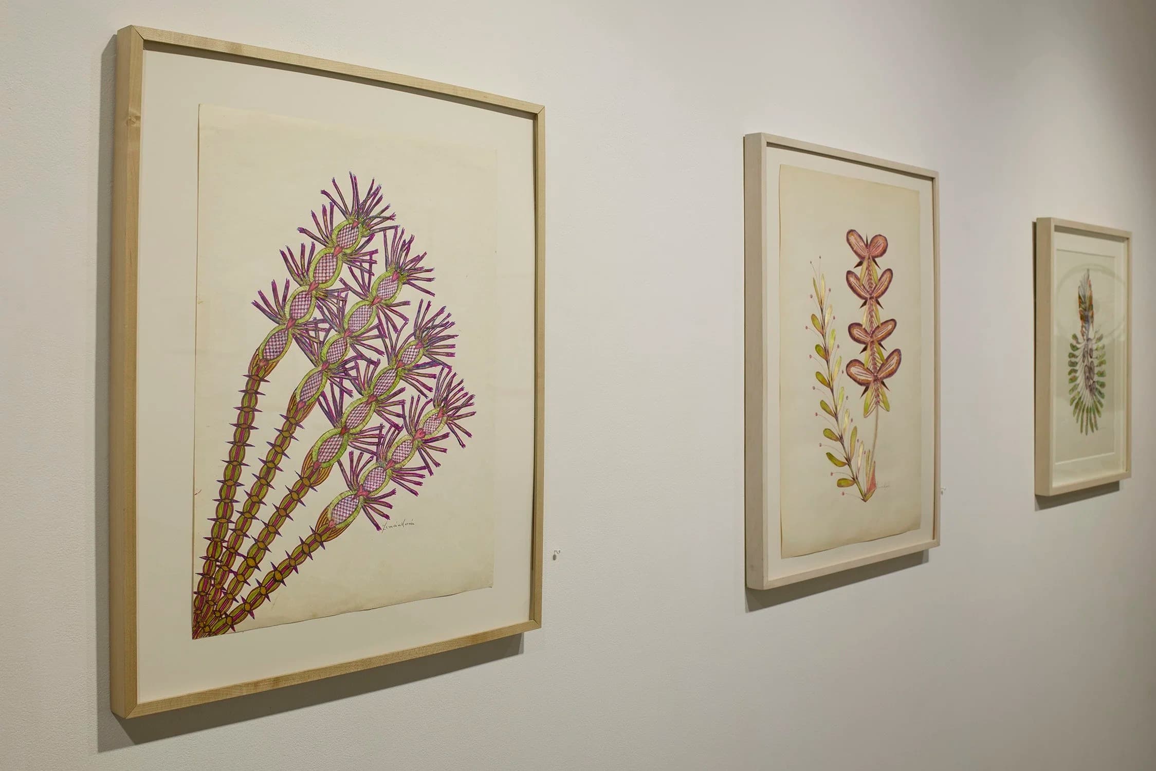 Installation view
