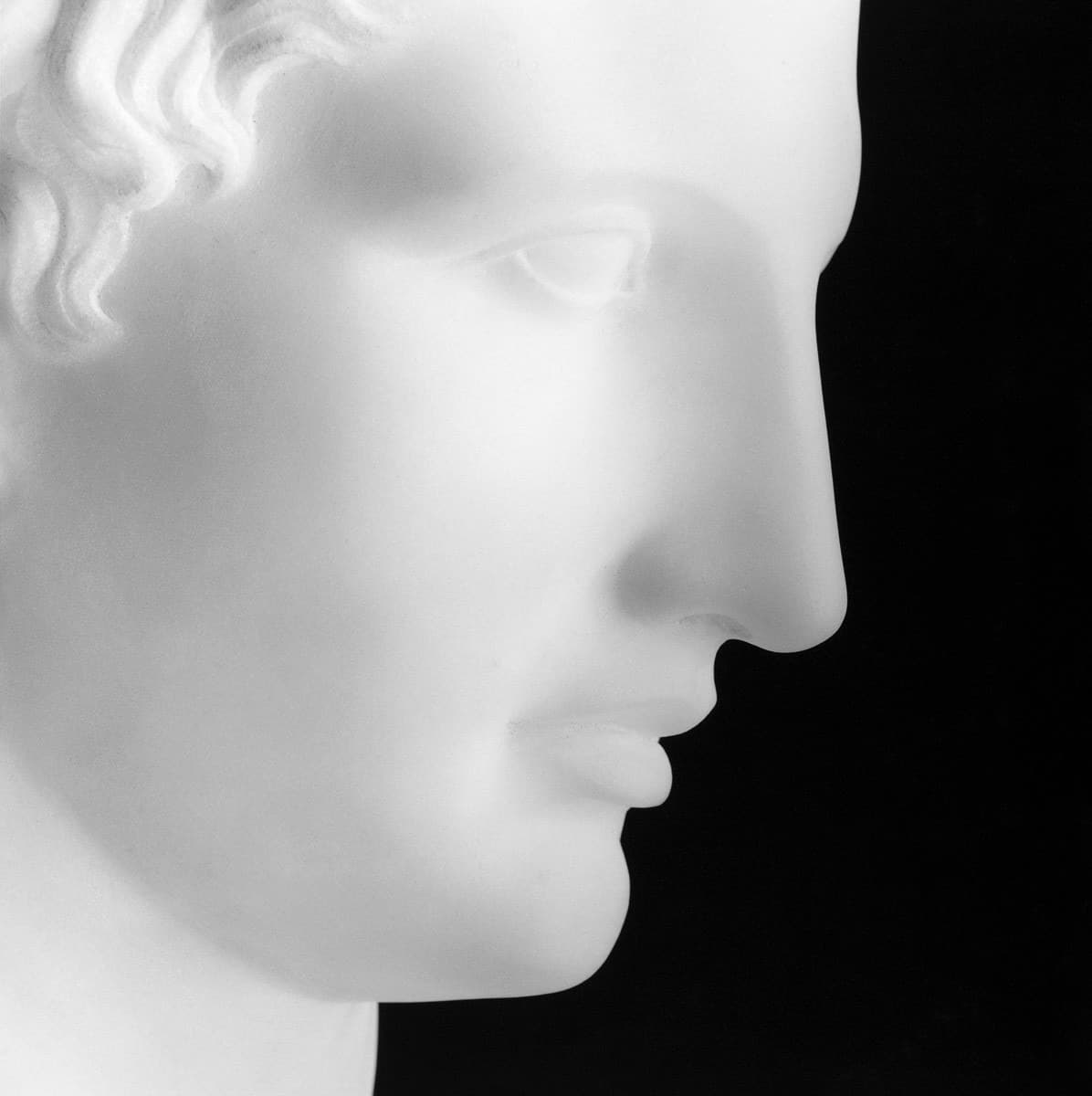 Robert Mapplethorpe
