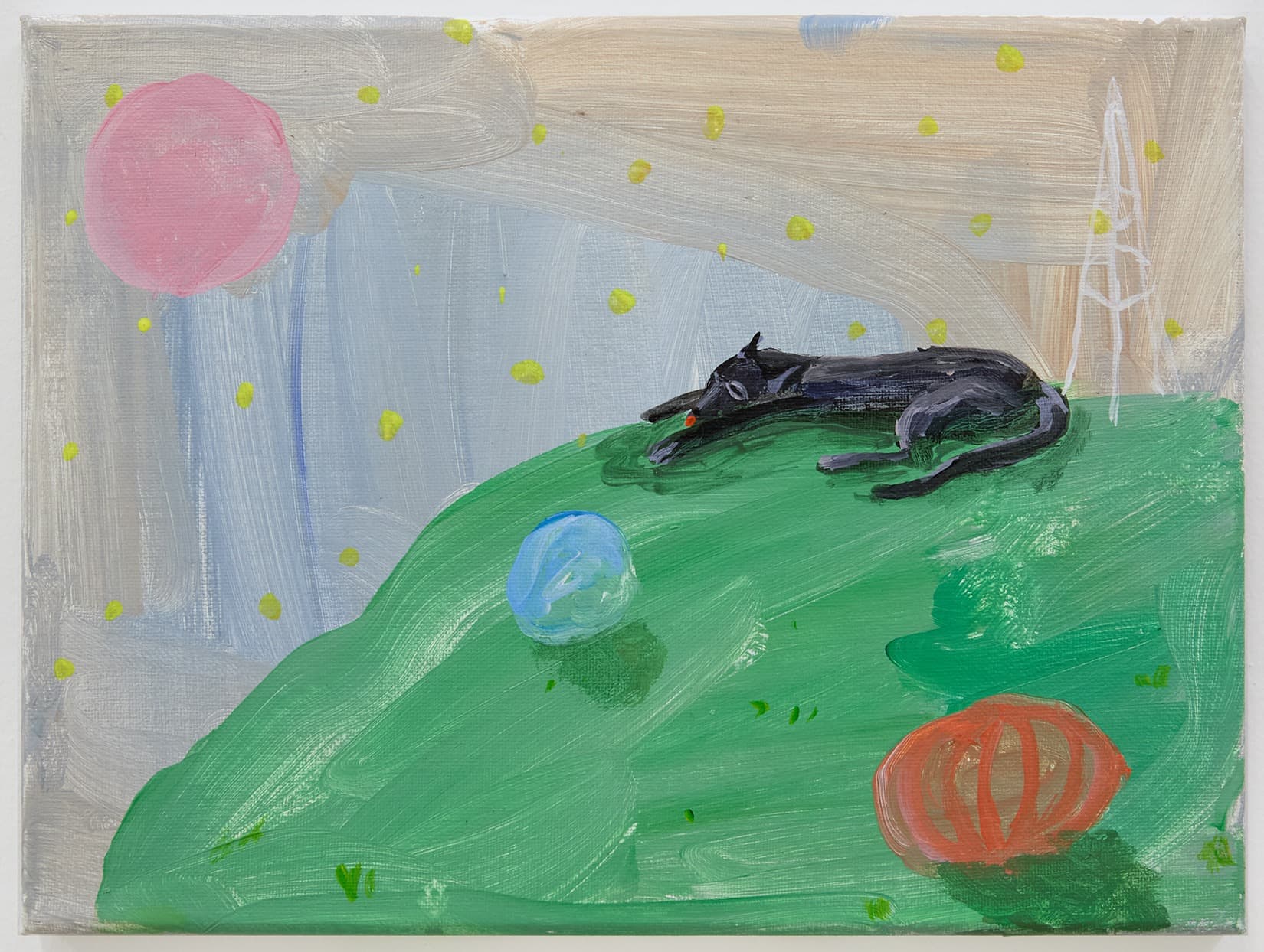 Cosmic Zoo