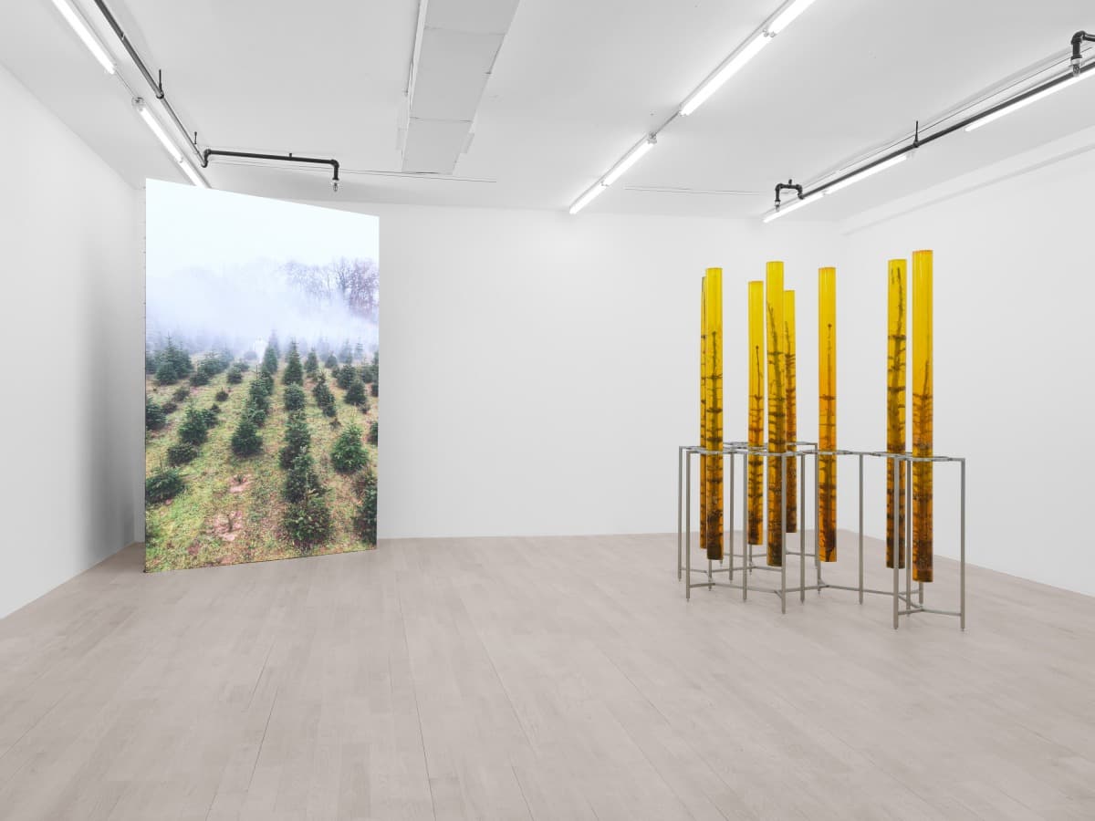 Installation view