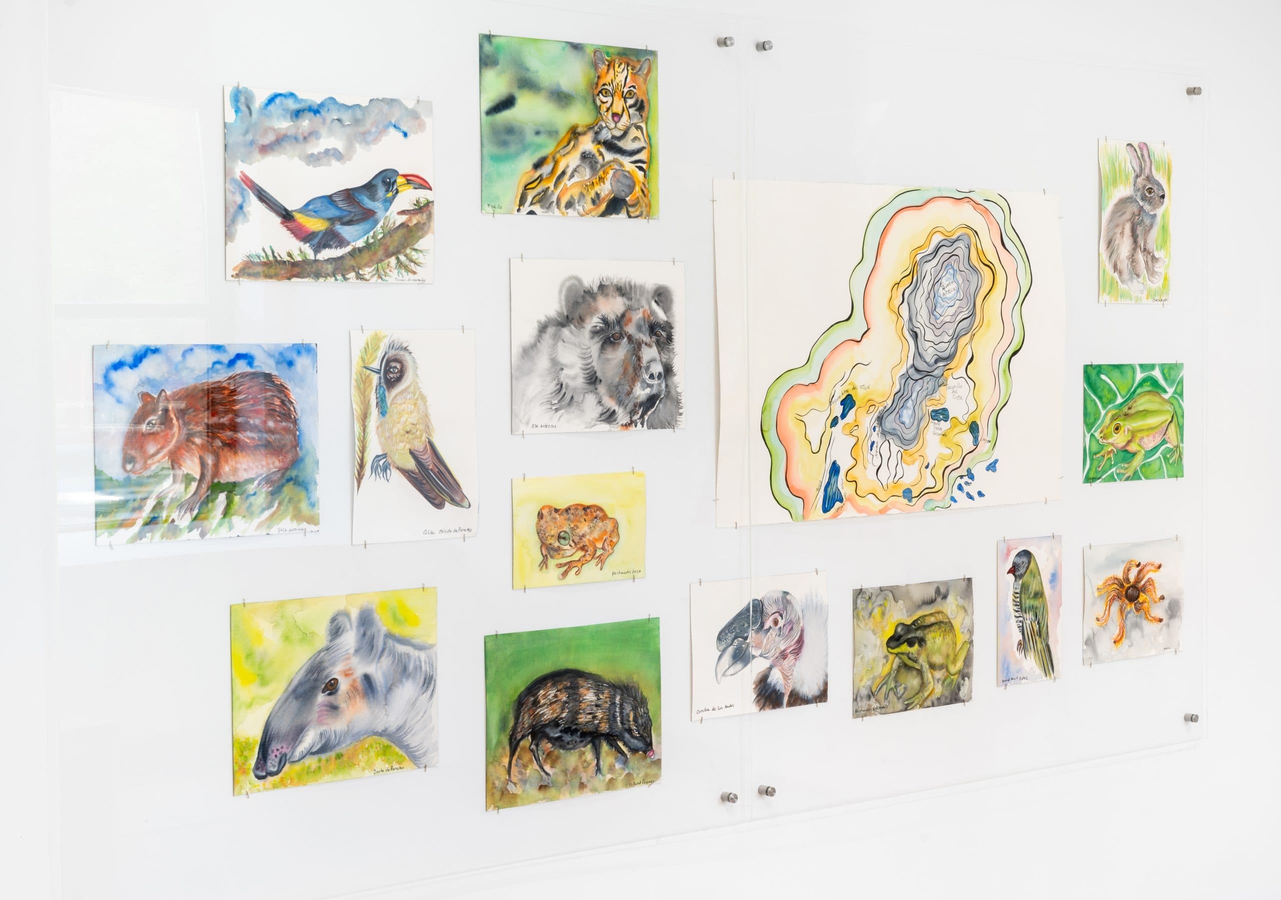 Installation view 26 of 26