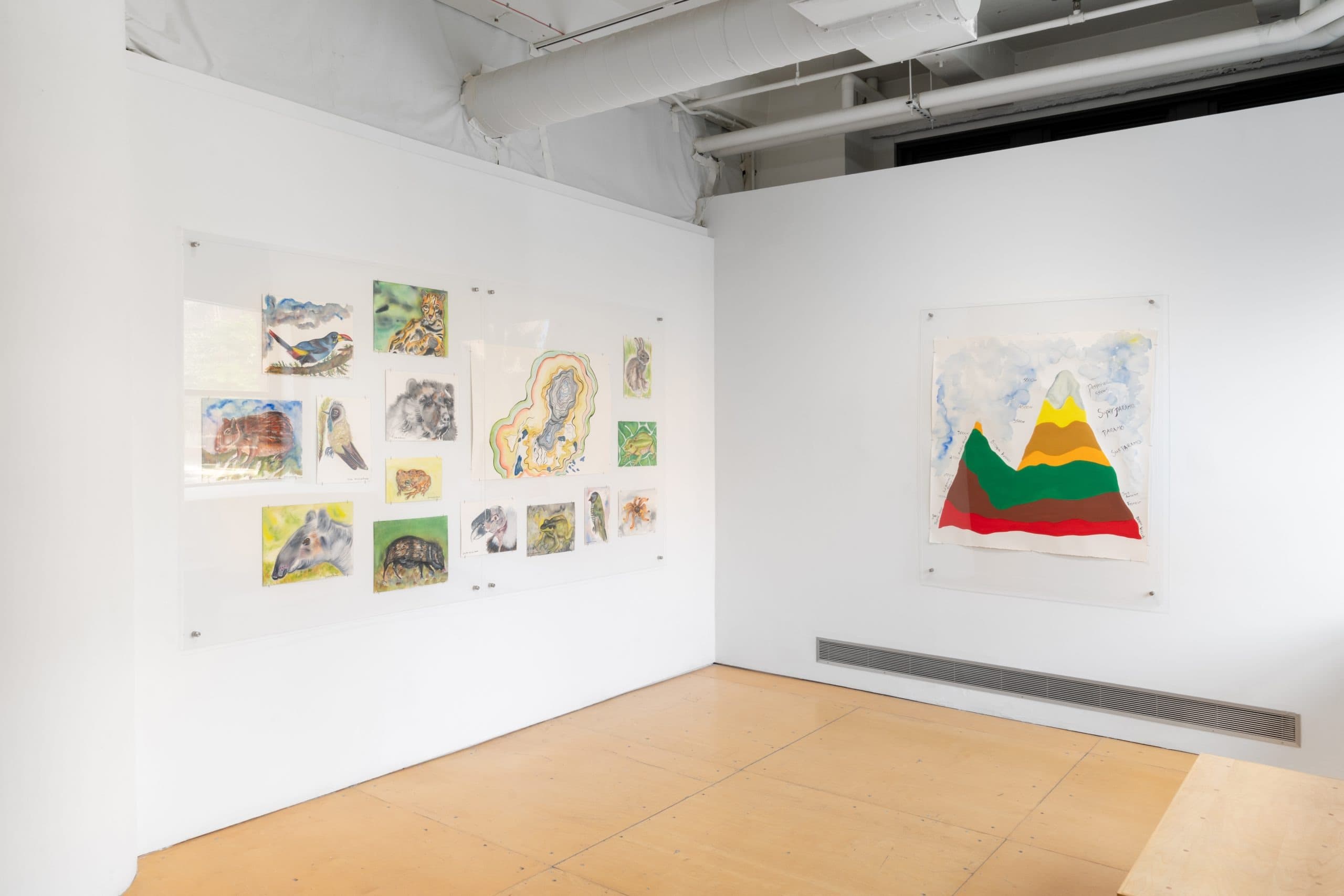 Installation view 23 of 26