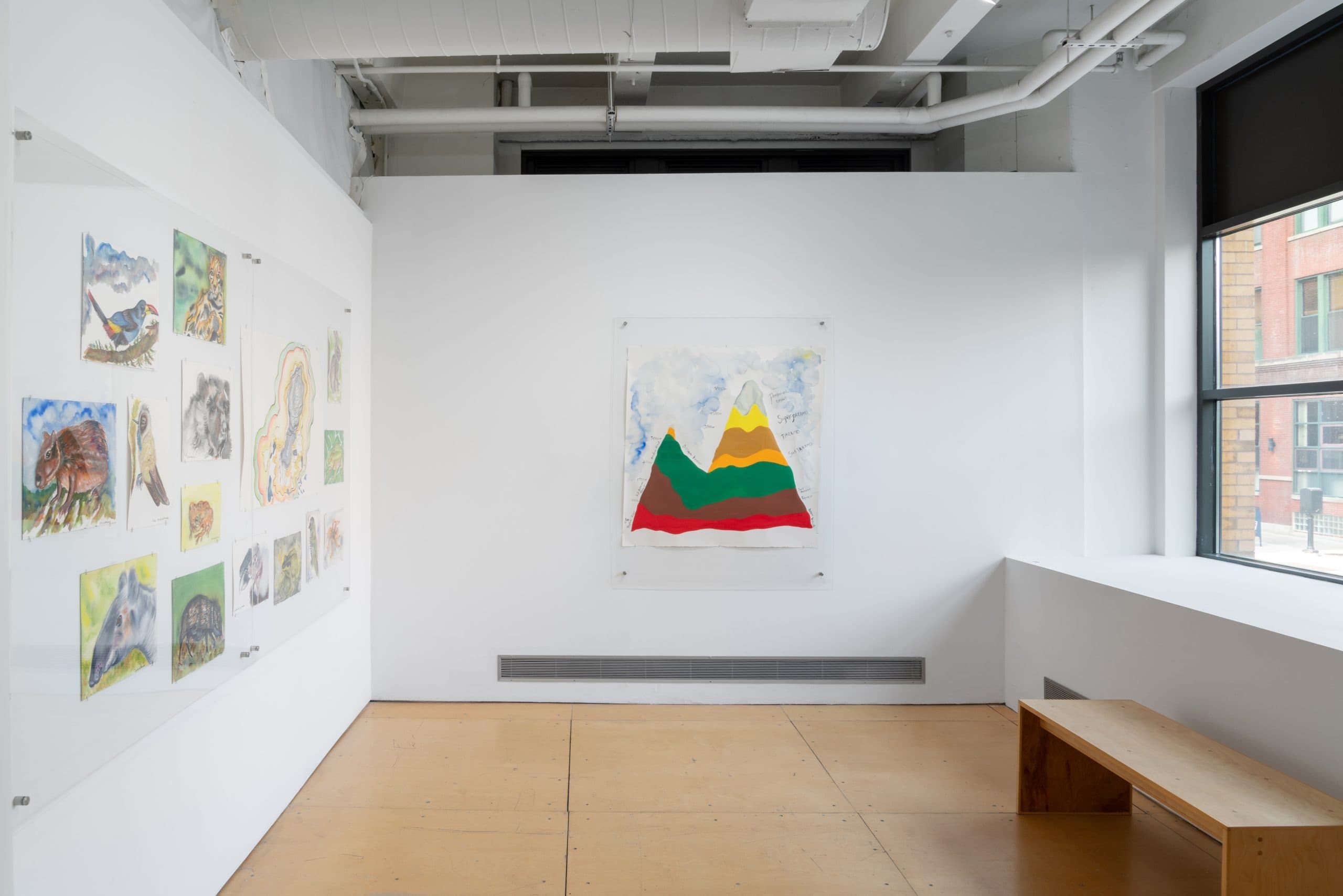 Installation view 24 of 26
