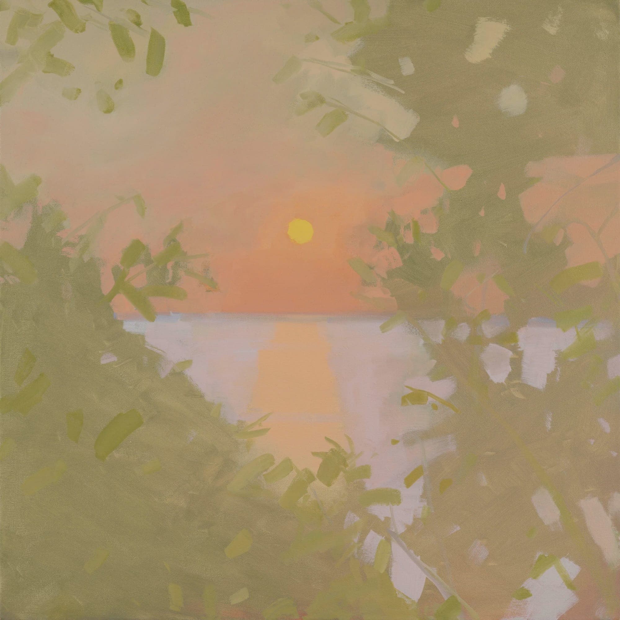 Sun fog Rain