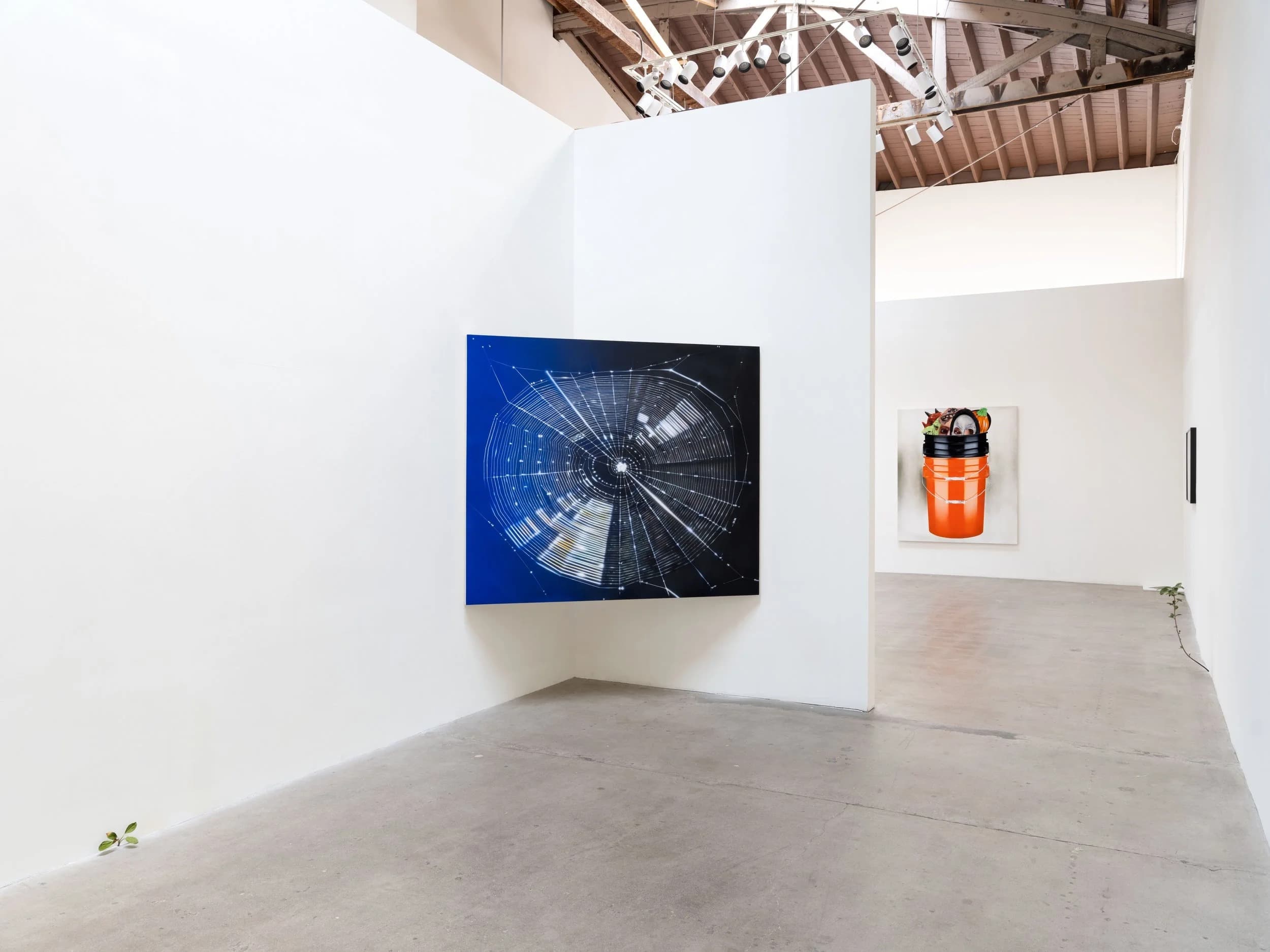 Installation view