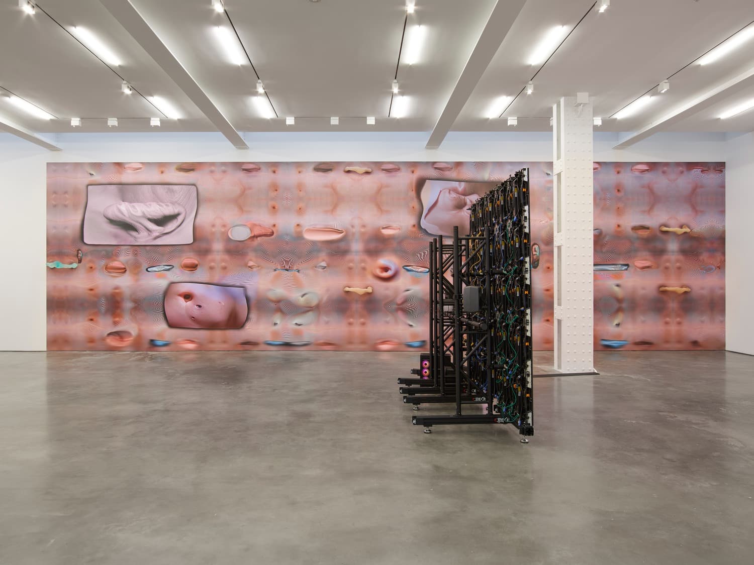 Installation view