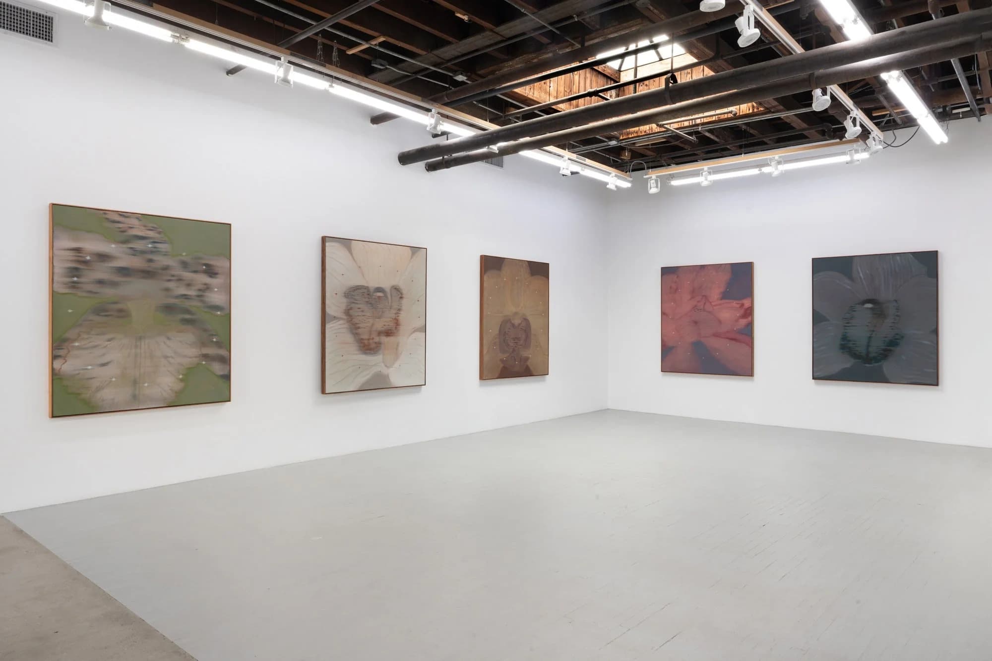 Installation view