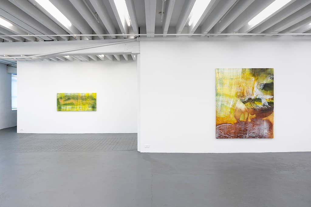 Installation view