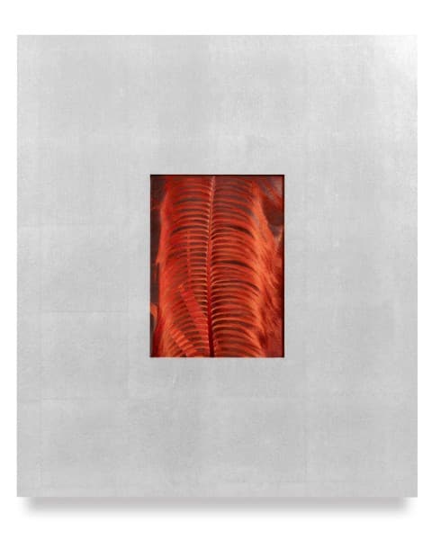 Talisman