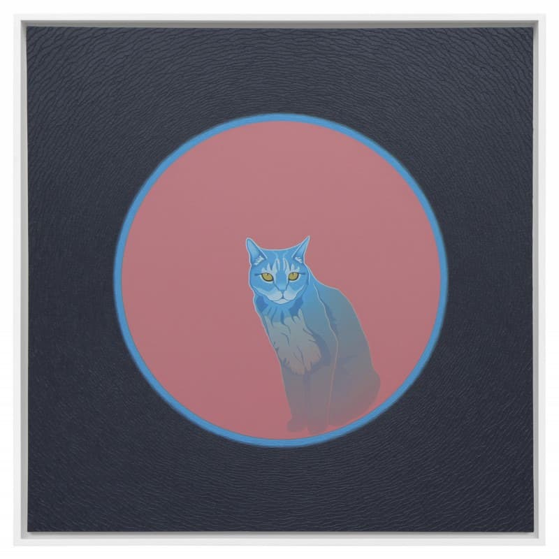 Cats & Apples