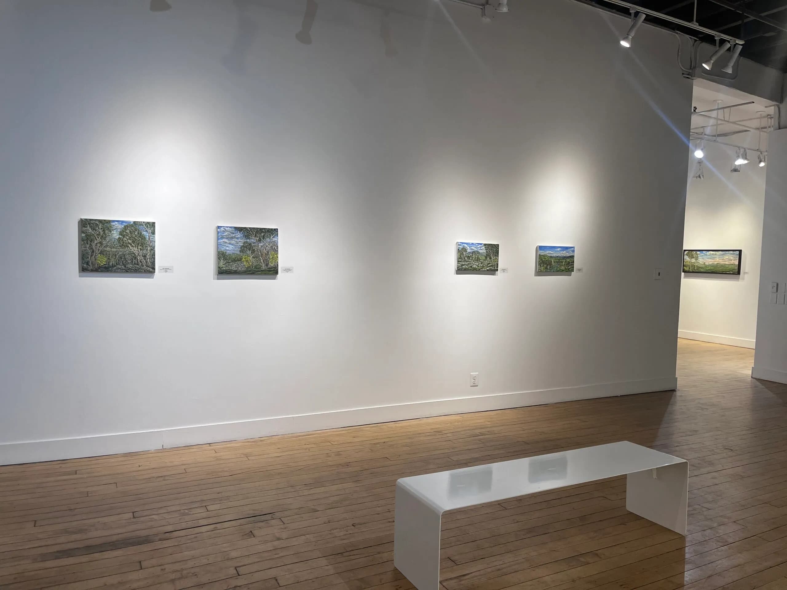 Installation view 1 of 5