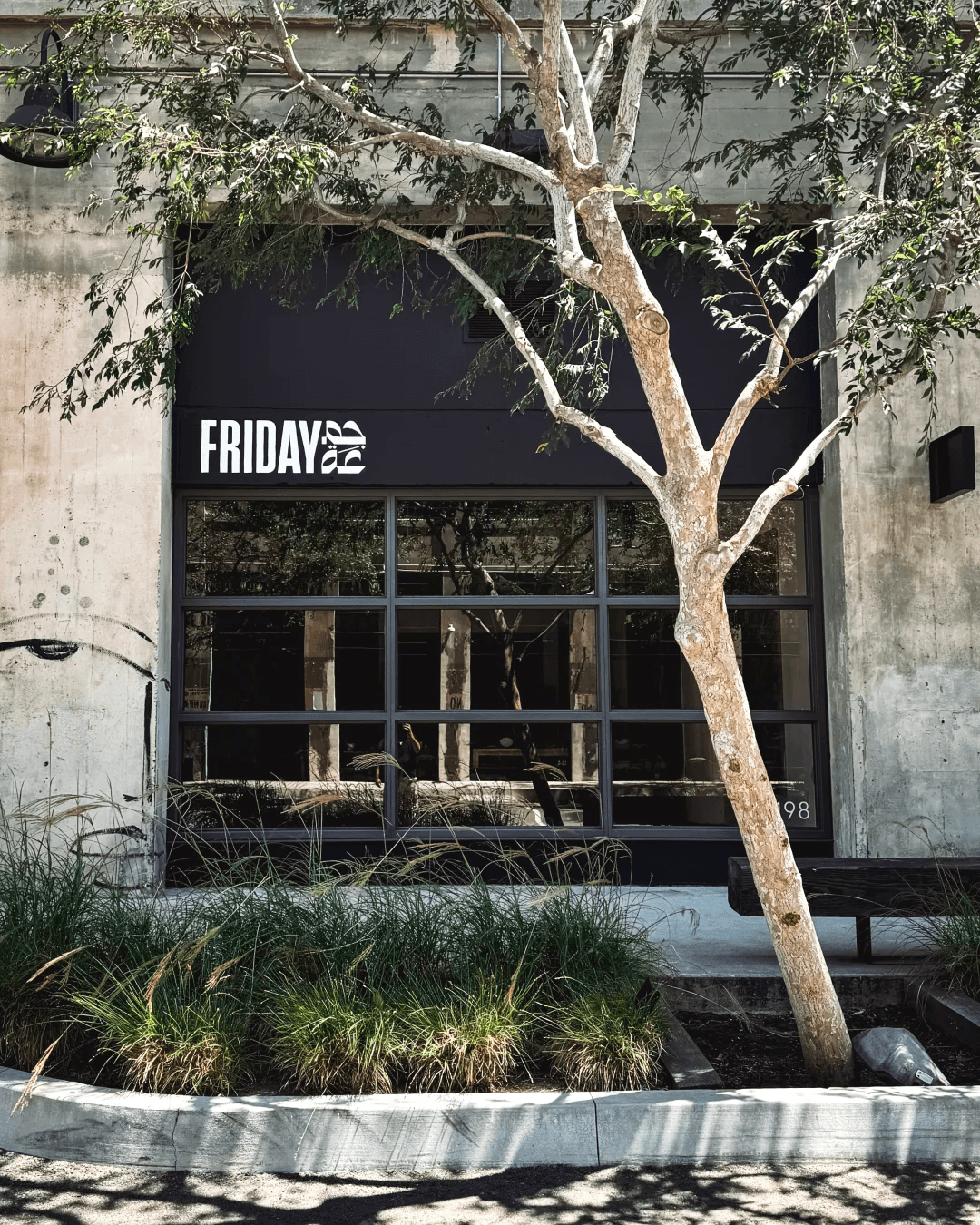Friday Gallery