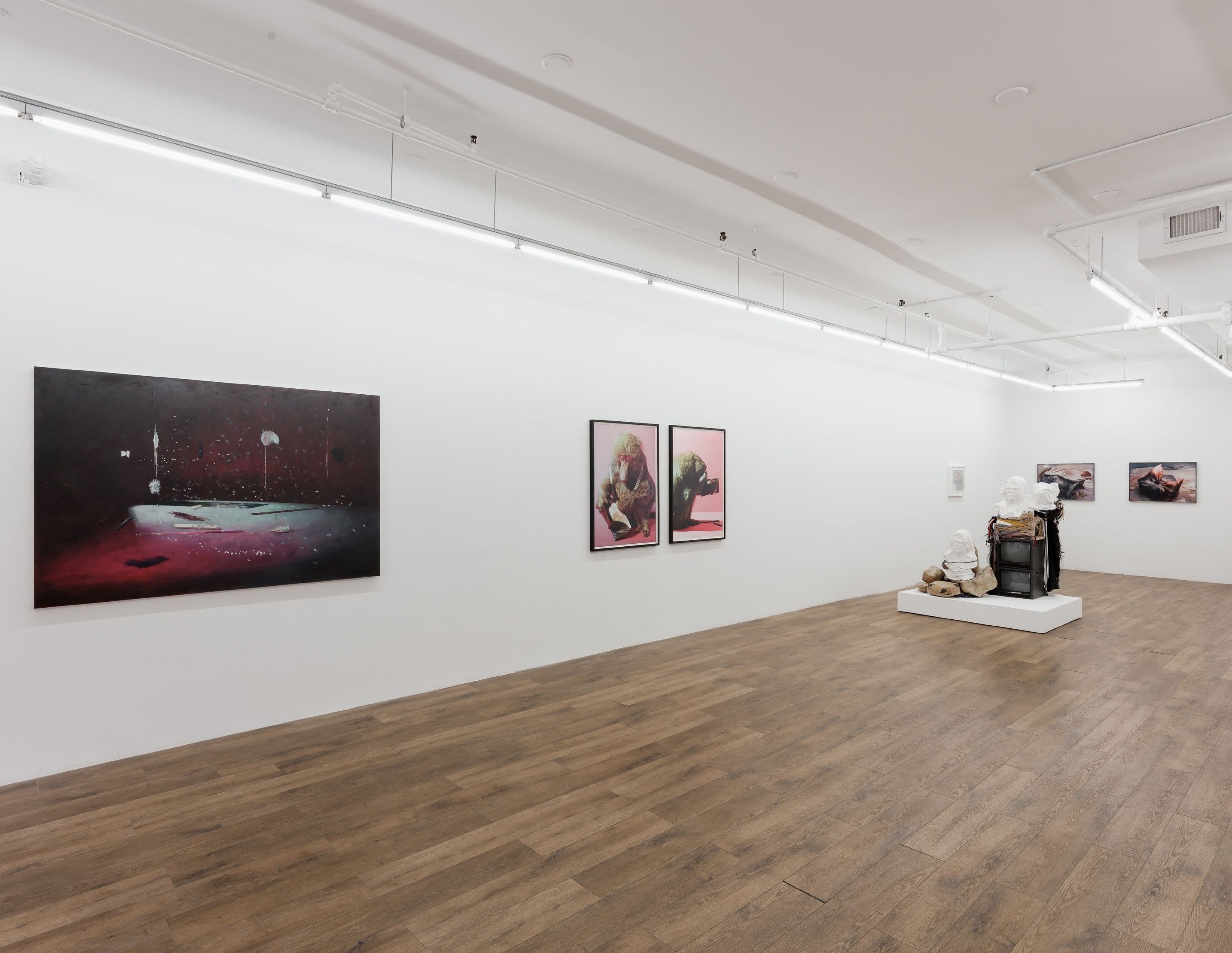 Installation view