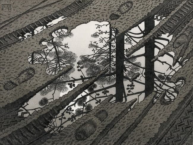 Between Order and Chaos: André Kertész and M. C. Escher