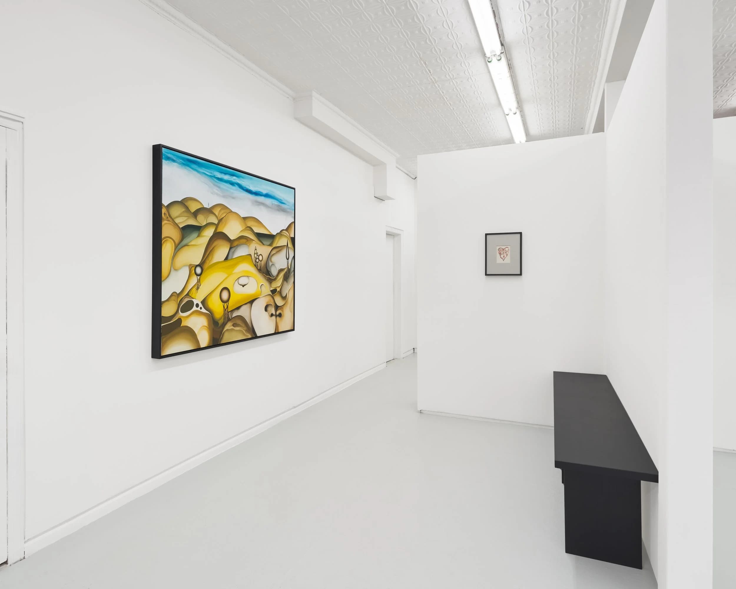 Installation view