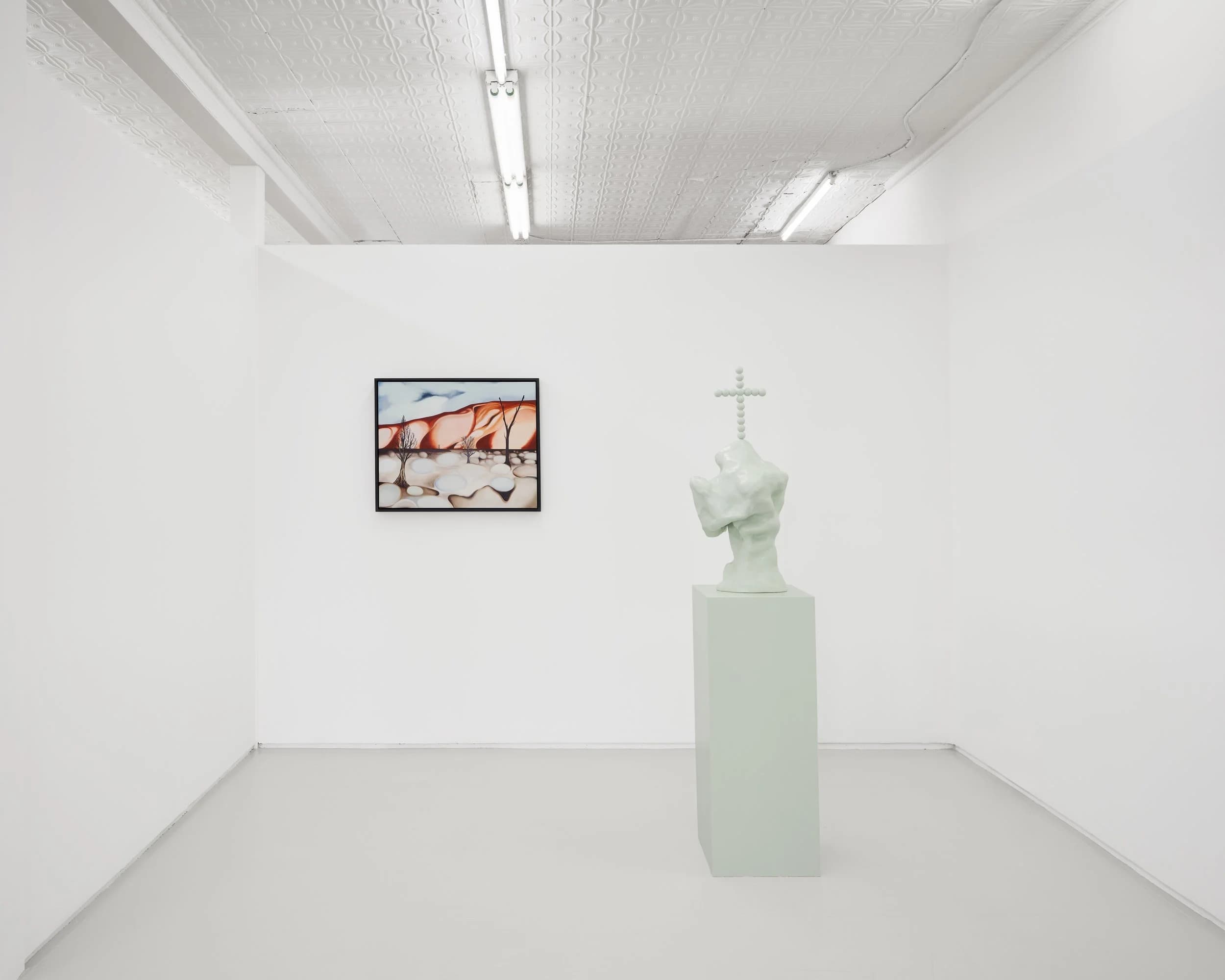Installation view