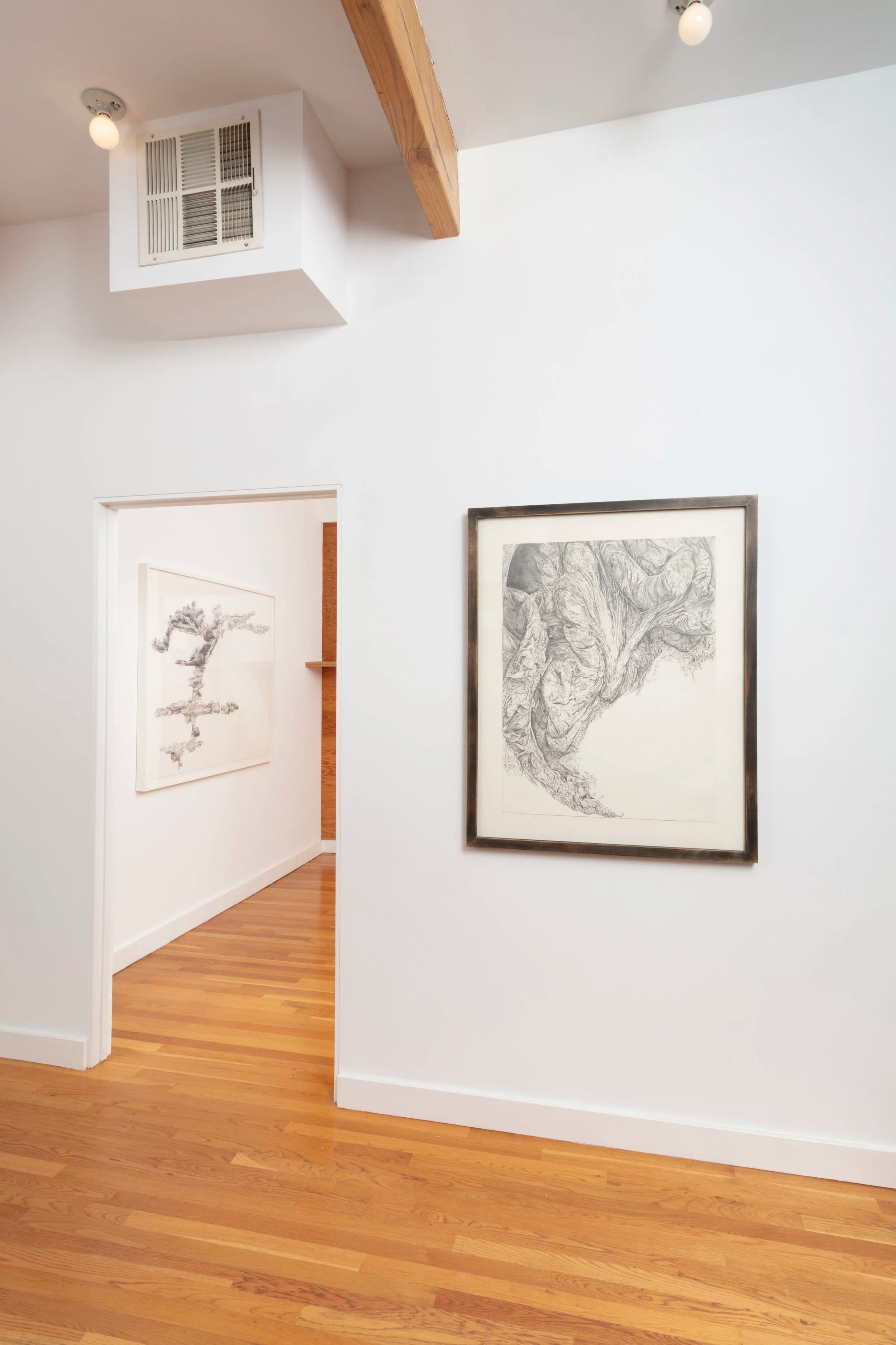 Installation view