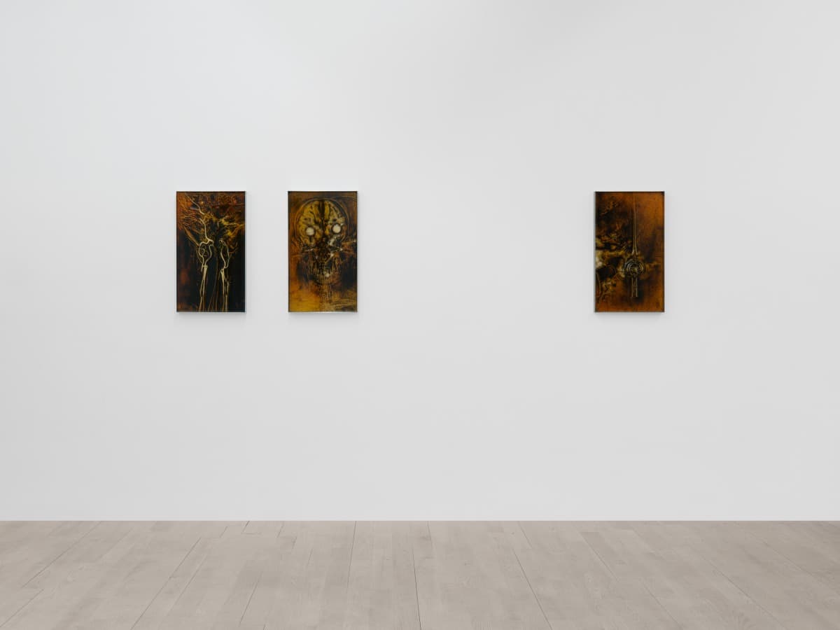 Installation view