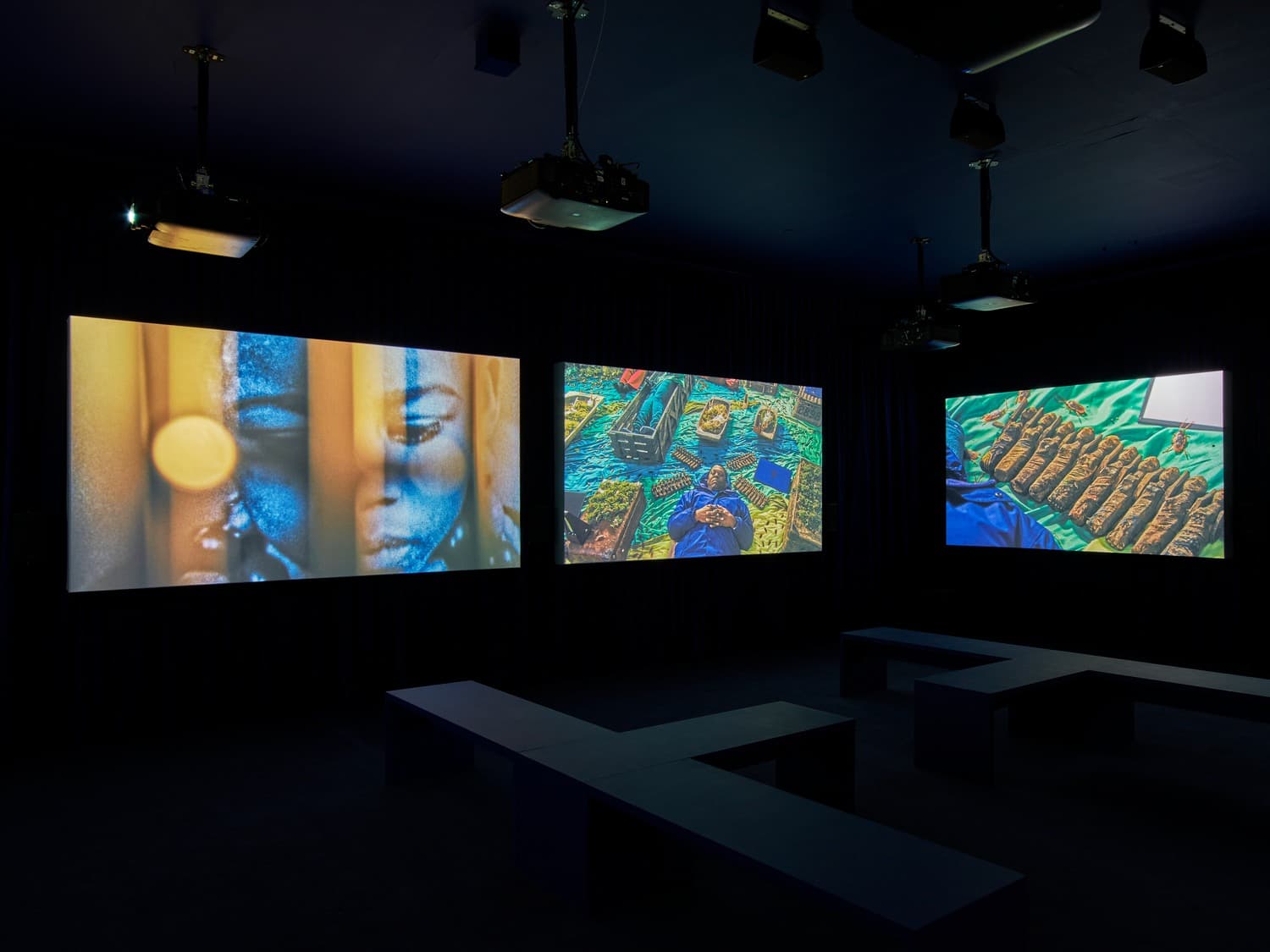 Installation view